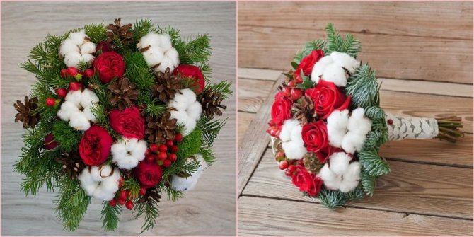 Хвойные деревья вам помогут