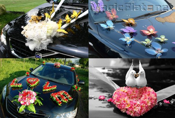Идеи для украшения машины