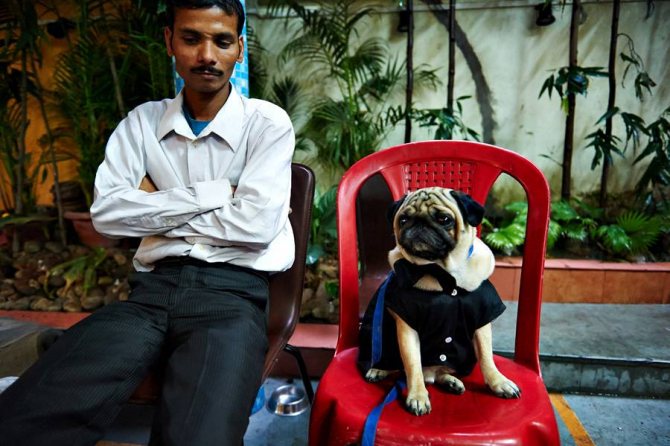 Интересные факты об индийской свадьбе