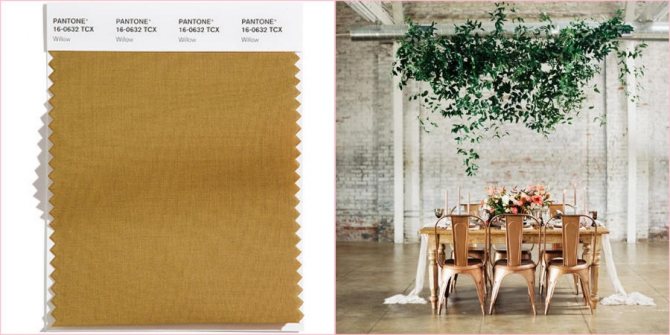 Ива напоминает нам древесную кору