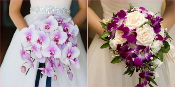 Из этого магического растения выходят красивые шедевры