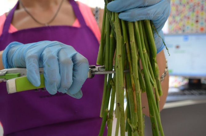 Изготовление букета из хризантем своими руками