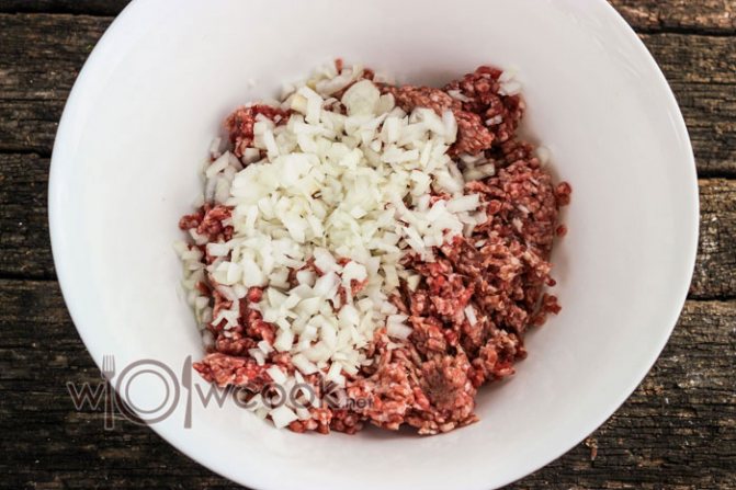 измельченный лук