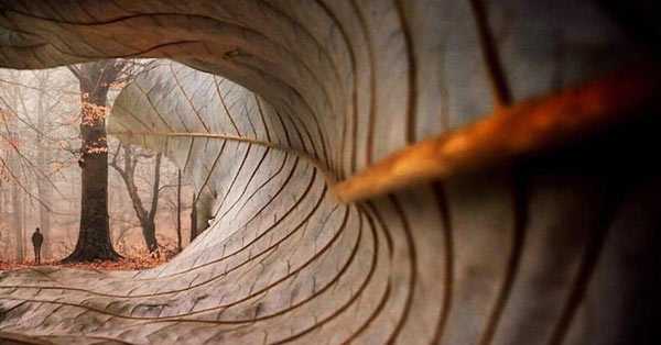 Как красиво сфотографироваться осенью6