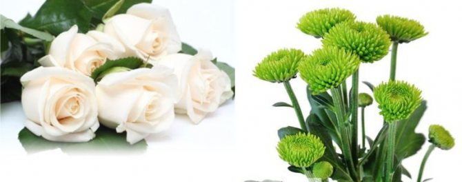 Как сделать букет невесты из хризантем