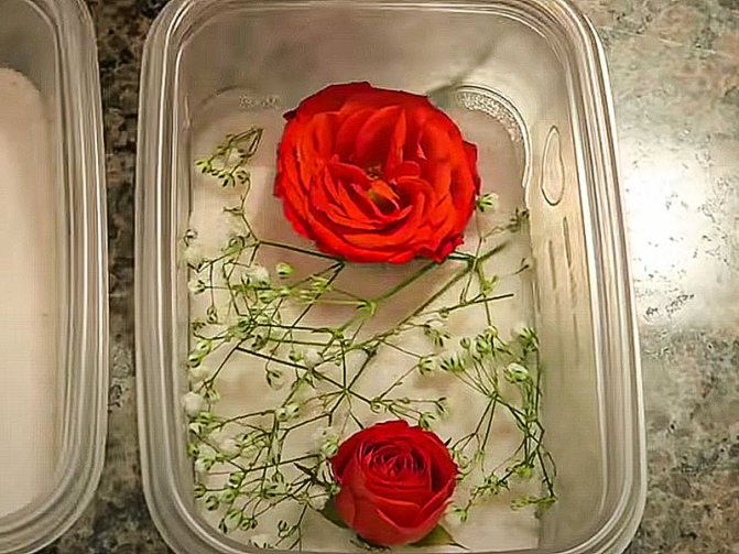 как засушить цветы в десикантах