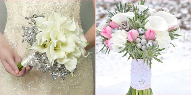 Каллы не боятся перепадов погоды