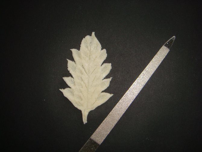 Картинки по запросу цветы из теста