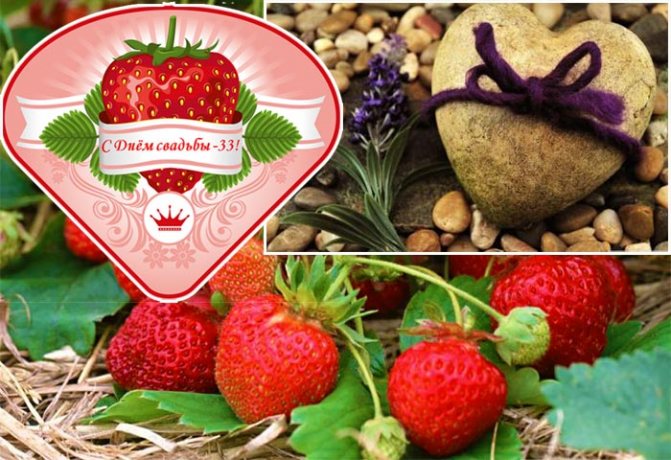 клубника и камень