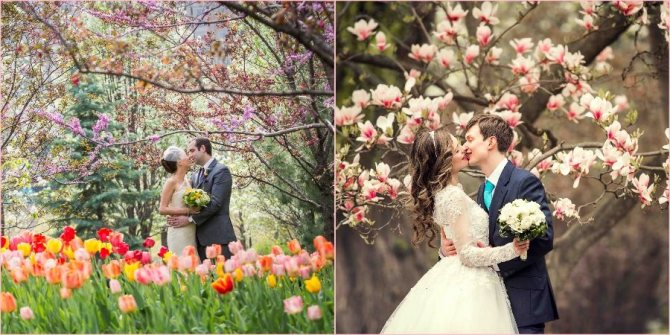 Клумбы с тюльпанами как декор на улице