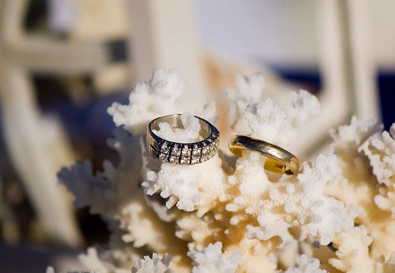 кольца, кораллы