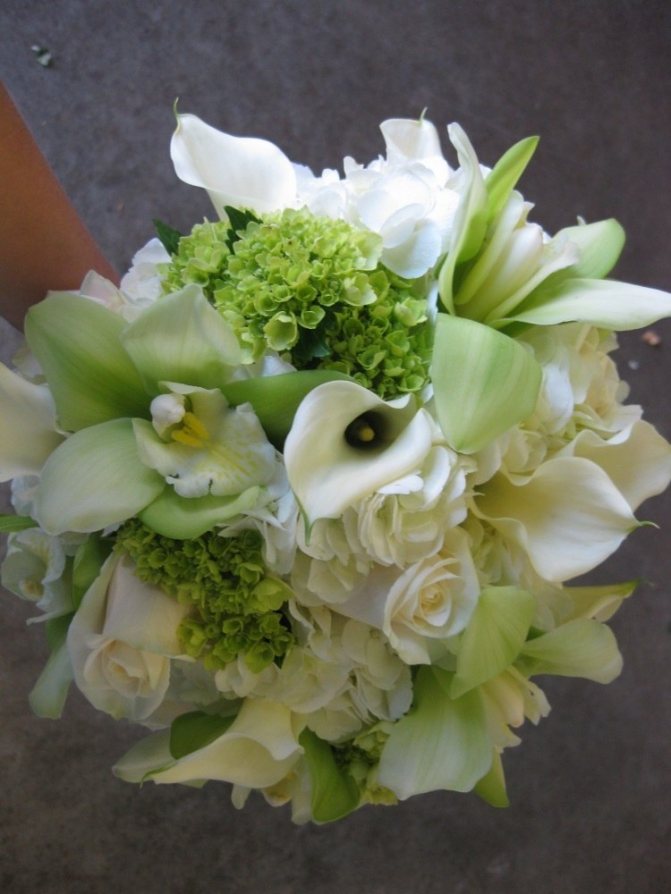 Комбинация калл и орхидей