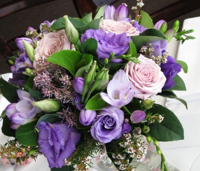 Комбинация с эустомами