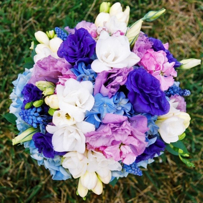 Комбинация с гиацинтом