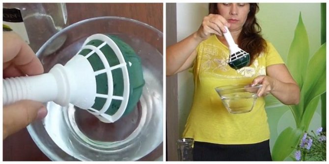 Композиция из «ромашек»