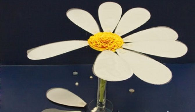 Конкурс золотой свадьбы - ромашка