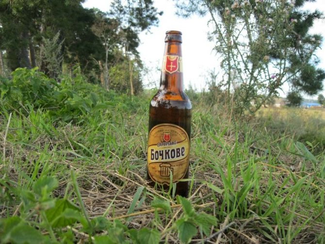 конкурсы и игры для взрослых на природе