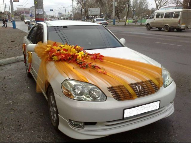 Кортеж на свадьбе в ноябре