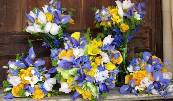 Красивые букеты из ирисов и роз