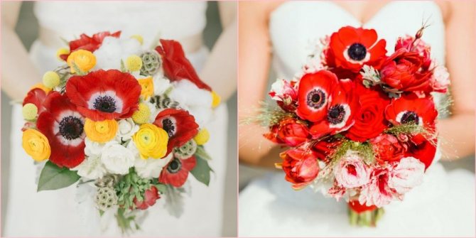 Красные маки для брюнеток