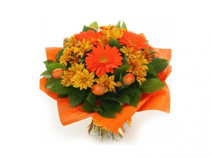 Красоту гербер подчеркнут тюльпаны