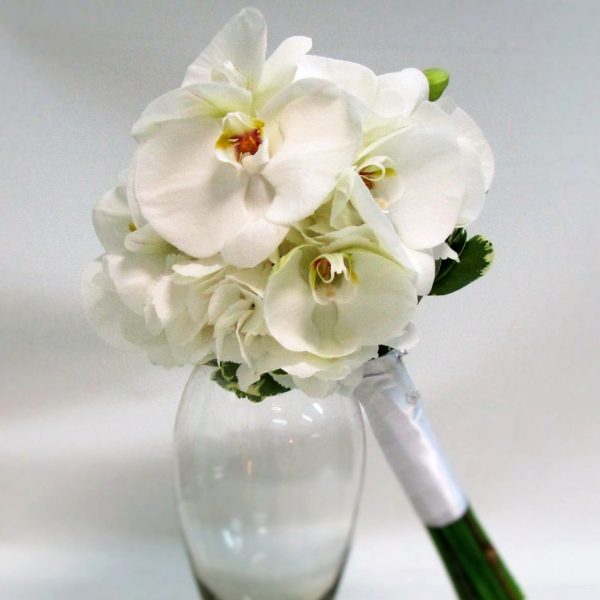 крупные белые цветы