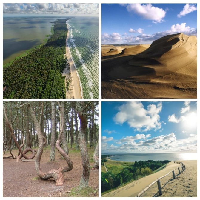 Куршская коса