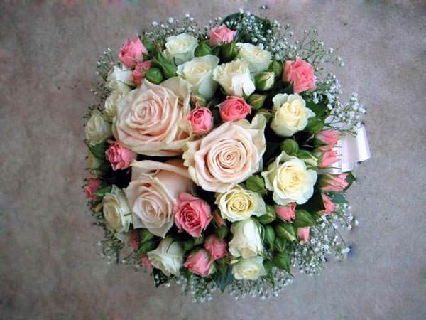 кустовые розы