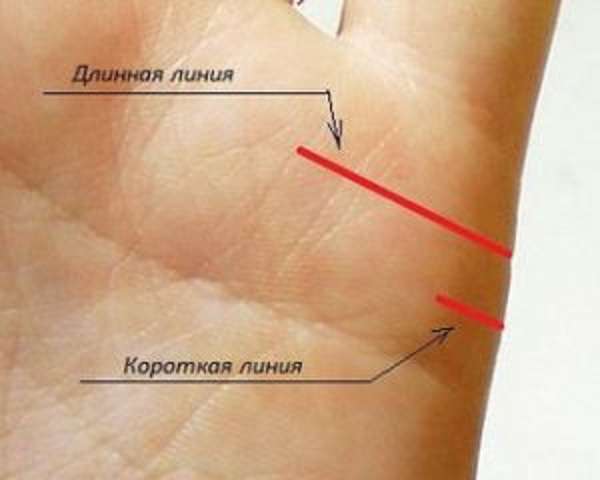 линии брака на руке