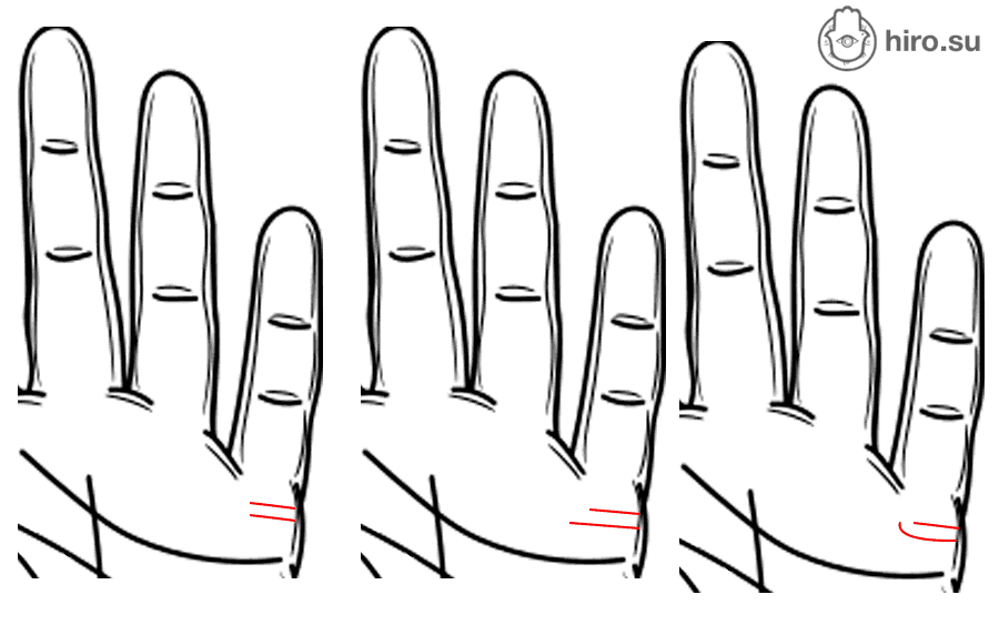 Линия брака