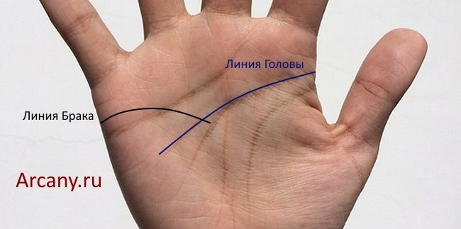 Линия Замужества (Брака) на руке: её значения, фото с расшифровкой