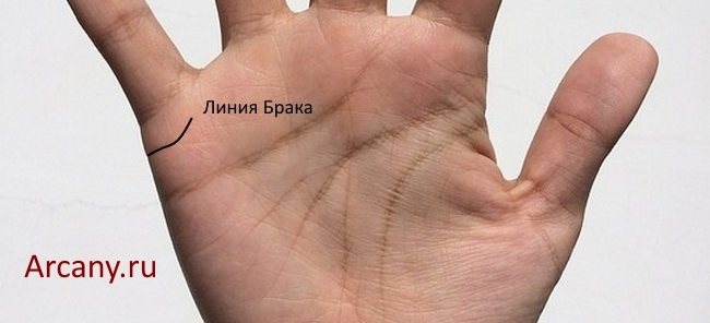 Линия Замужества (Брака) на руке: её значения, фото с расшифровкой