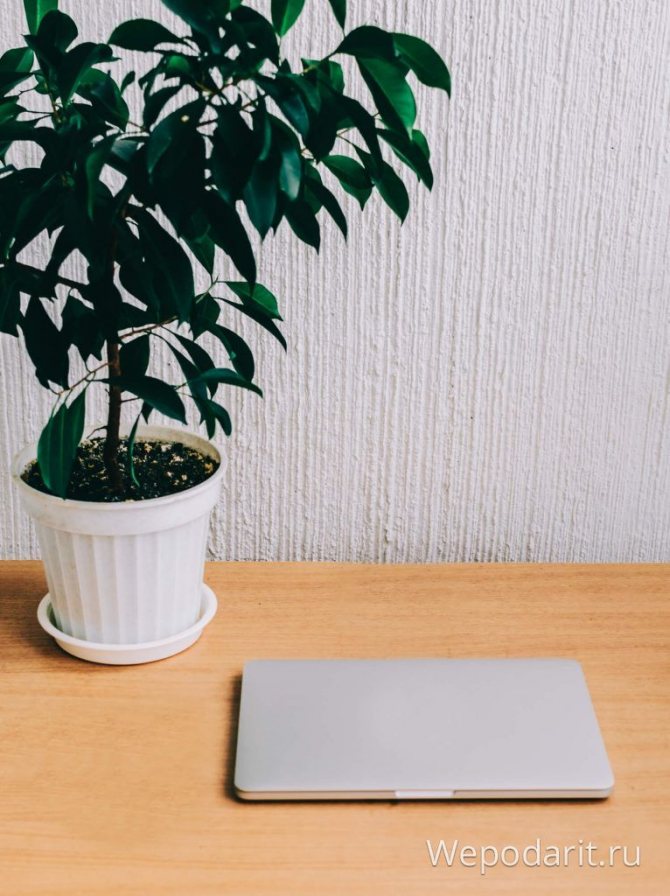 MacBook на деревянном столе