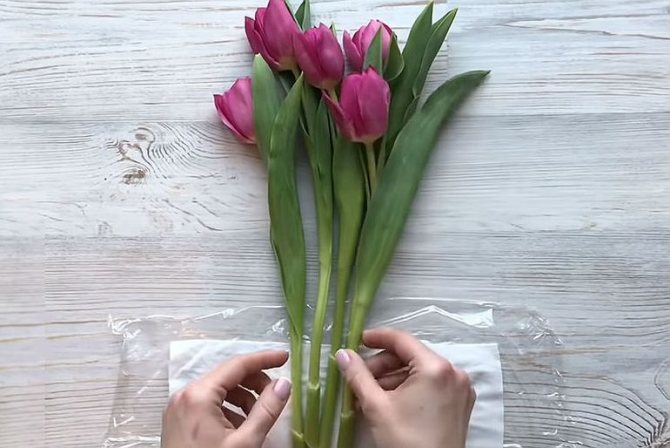 Мастер-класс по сборке бюджетного букета из тюльпанов на 8 марта