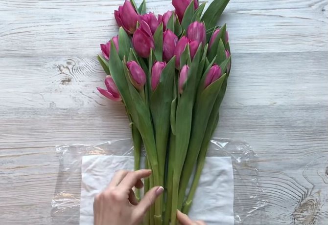 Мастер-класс по сборке бюджетного букета из тюльпанов на 8 марта