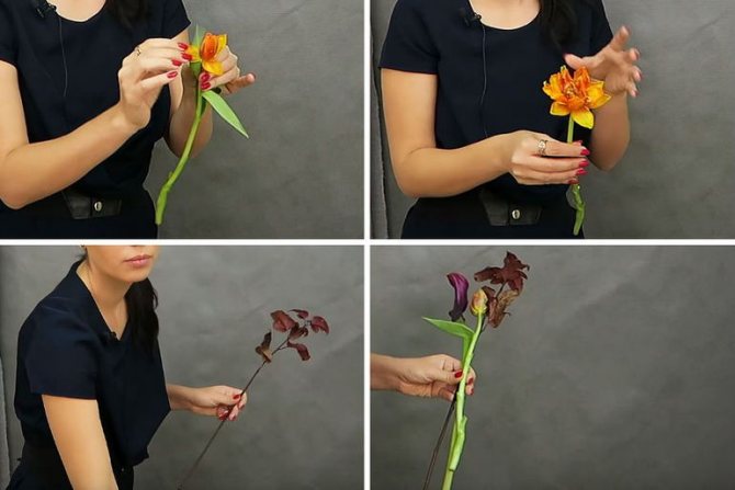 Мастер-класс по сборке золотисто-оранжевого букета