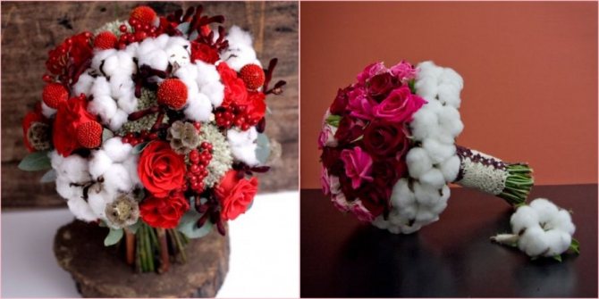 Модная тенденция с хлопком