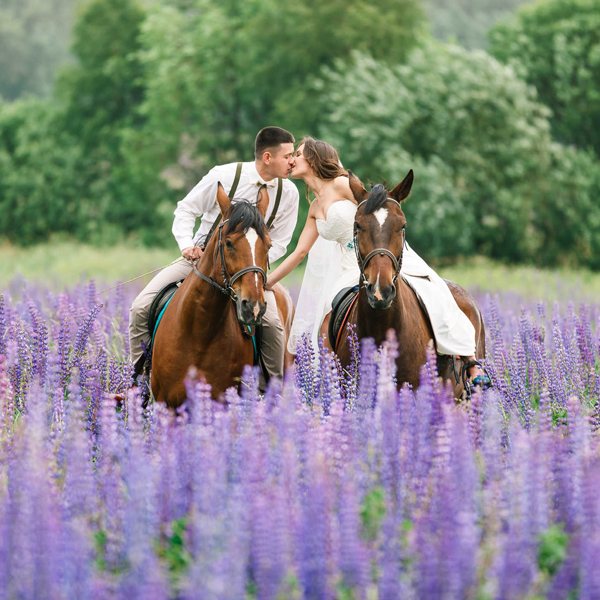 молодожены на лошадях