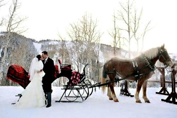 Молодожены в заснеженном лесу