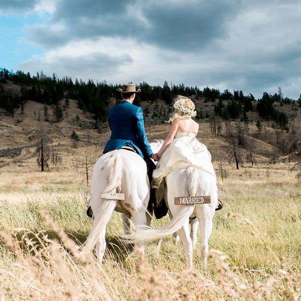 молодые на лошадях после свадьбы