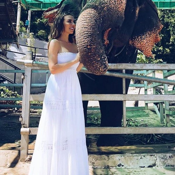 Можно ли сыграть свадьбу в зоопарке