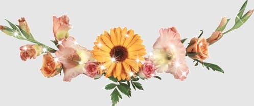 на День матери в школу