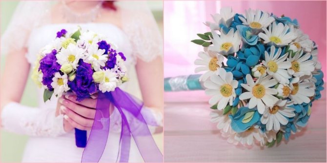 Нежные растения для праздника