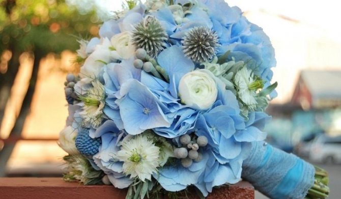 Нежный букет из синих цветов