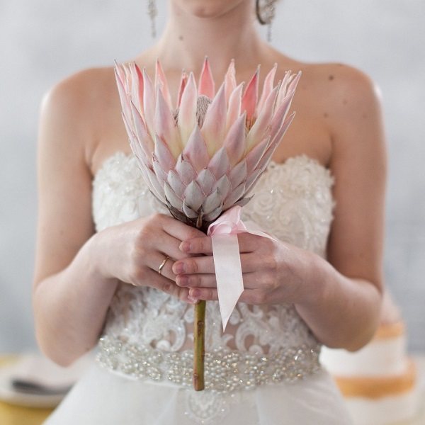 новобрачная держит протею