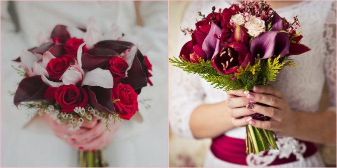 Очень необычные и оригинальные растения