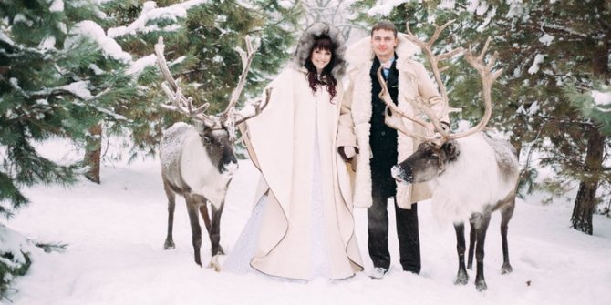 Олени для фотосессии