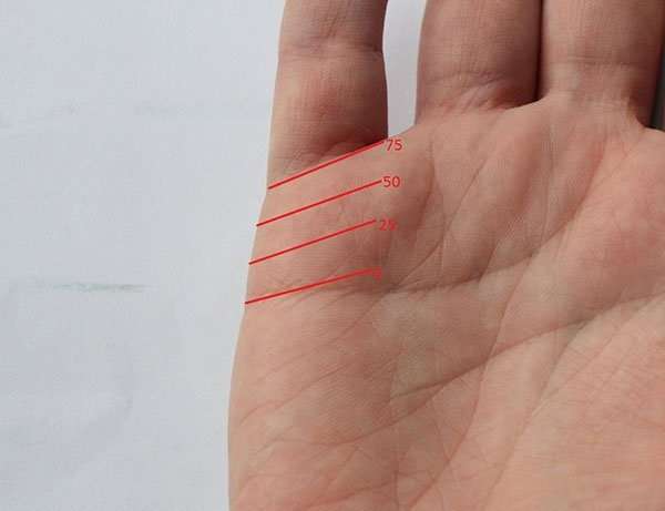 определение даты по линии