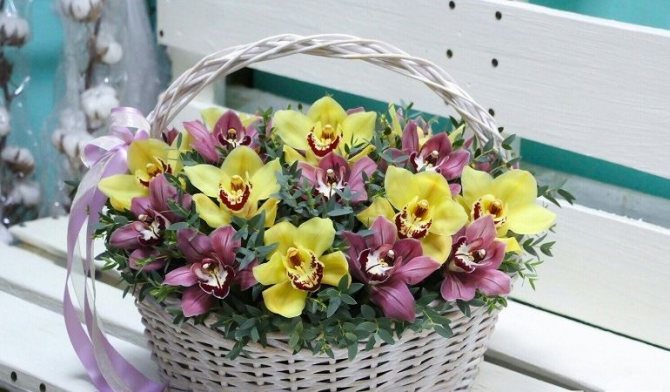 Орхидеи в корзинке
