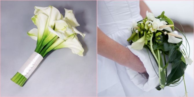 Оригинальное решение для зимы